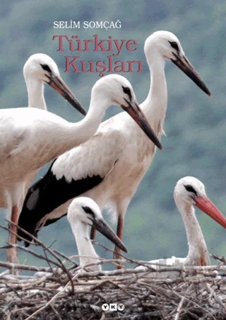 Türkiye Kuşları – Selim Somçağ – Yapı Kredi Yayınları kitap kapağı