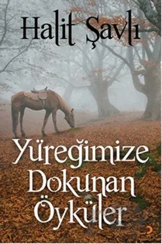 Yüreğimize Dokunan Öyküler – Halit Şavlı – Cinius Yayınları kitap kapağı