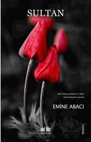 Sultan – Emine Abacı – Akıl Fikir Yayınları kitap kapağı