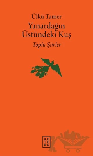 Yanardağın Üstündeki Kuş – Ülkü Tamer – Ketebe Yayınları kitap kapağı