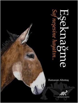 Eşeknağme – Ramazan Altıntaş – Paradigma Akademi Yayınları kitap kapağı