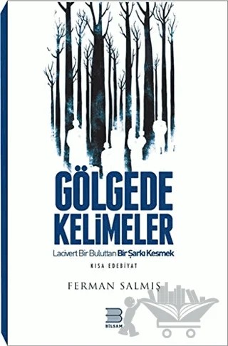 Gölgede Kelimeler – Ferman Salmış – Bilsam Yayınları kitap kapağı