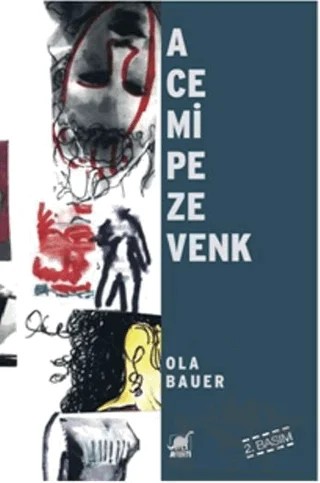 Acemi Pezevenk – Ola Bauer – Ayrıntı Yayınları kitap kapağı