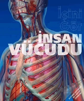 İnsan Vücudu / İçini Gör – Kolektif – Domingo Yayınevi kitap kapağı