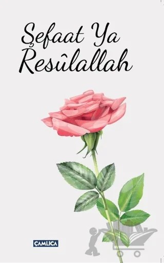 Şefaat Ya Resulallah (2 Kitap Takım) – Ahmed Cevdet Paşa – Çamlıca Basım Yayın kitap kapağı