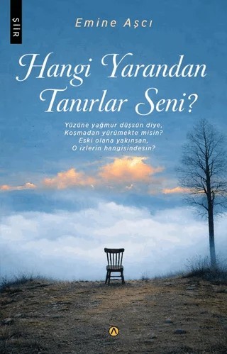 Hangi Yarandan Tanırlar Seni? – Emine Aşçı – Ares Yayınları kitap kapağı