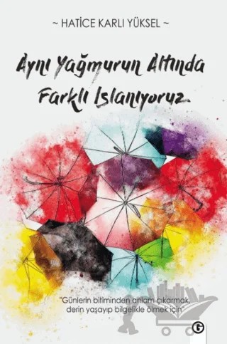 Aynı Yağmur Altında Farklı Islanıyoruz – Hatice Karlı Yüksel – Gayri Nizami Kitap kitap kapağı