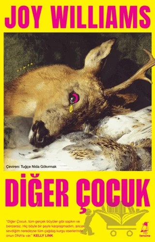 Diğer Çocuk – Joy Williams – Tersine Kitap kitap kapağı