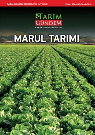 Marul Tarımı – Tarım Gündem Dergisi kitap kapağı