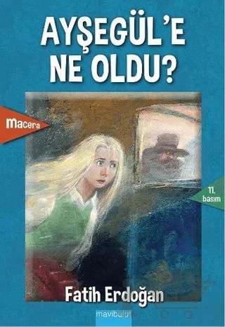 Ayşegül’e Ne Oldu? – Fatih Erdoğan – Mavibulut Yayınları kitap kapağı