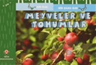 Meyveler ve Tohumlar - Bir Bak Bir Daha Bak – David M. Schwartz, Marilyn Marks – TÜBİTAK Yayınları kitap kapağı