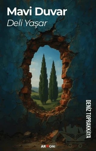 Mavi Duvar – Deniz Toprakkaya – Armoni Yayıncılık kitap kapağı