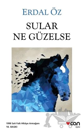 Sular Ne Güzelse – Erdal Öz – Can Yayınları kitap kapağı