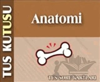 TUS Kutusu Anatomi – Aytül Çorapçıoğlu – İstanbul Tıp Kitabevi kitap kapağı