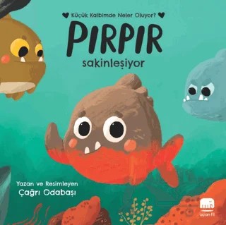 Pırpır Sakinleşiyor – Çağrı Odabaşı – Uçan Fil Yayınları kitap kapağı