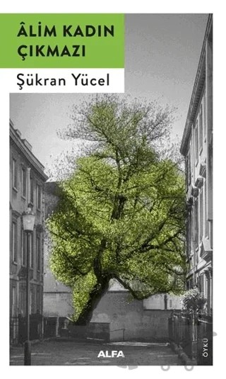 Alim Kadın Çıkmazı – Şükran Yücel – Alfa Yayınları kitap kapağı