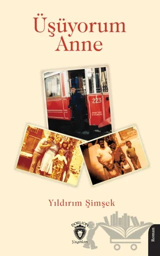 Üşüyorum Anne – Yıldırım Şimşek – Dorlion Yayınları kitap kapağı