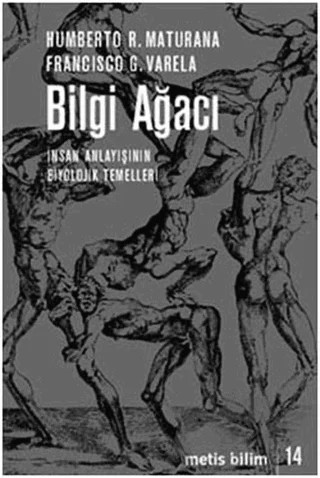 Bilgi Ağacı – Humberto R. Maturana – Metis Yayınları kitap kapağı