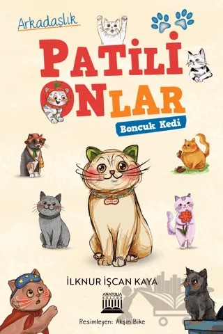 Patili Onlar – İlknur İşcan Kaya – Anatolia Kitap kitap kapağı