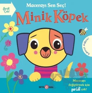 Macerayı Sen Seç! Minik Köpek – Holly Hall – Beta Kids kitap kapağı