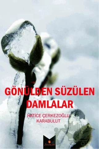 Gönülden Süzülen Damlalar – Hatice Karabulut – Serencam Yayınevi kitap kapağı