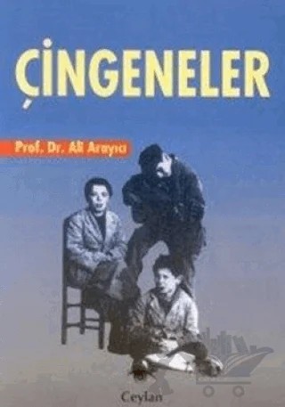 Çingeneler – Ali Arayıcı – Ceylan Yayınları kitap kapağı
