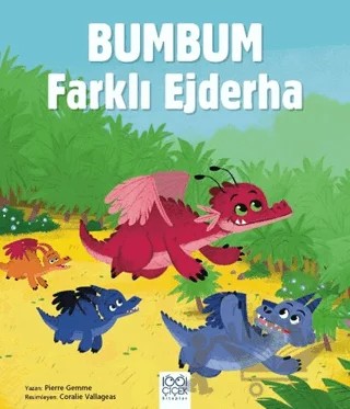Bumbum Farklı Ejderha – Pierre Gemme – 1001 Çiçek Kitaplar kitap kapağı