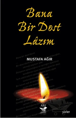 Bana Bir Dost Lazım – Mustafa Ağır – Arı Sanat Yayınevi kitap kapağı