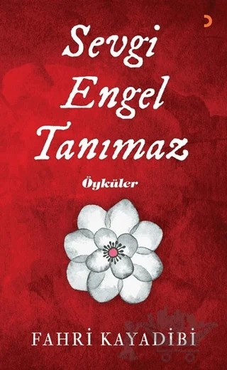 Sevgi Engel Tanımaz – Fahri Kayadibi – Cinius Yayınları kitap kapağı