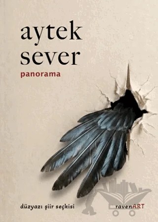 Panorama – Aytek Sever – ravenART kitap kapağı