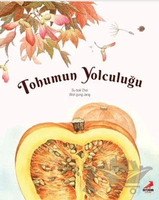 Tohumun Yolculuğu – Su-bok Choi – Erdem Çocuk kitap kapağı