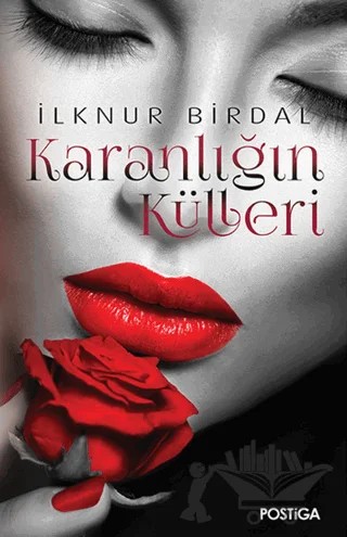 Karanlığın Külleri – İlknur Birdal – Postiga Yayınları kitap kapağı