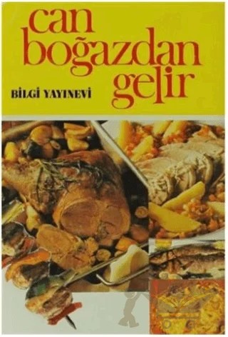 Can Boğazdan Gelir – Safa M. Yurdanur – Bilgi Yayınevi kitap kapağı