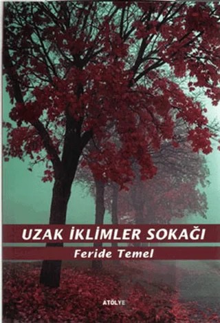 Uzak İklimler Sokağı – Feride Temel – Artshop Yayıncılık kitap kapağı