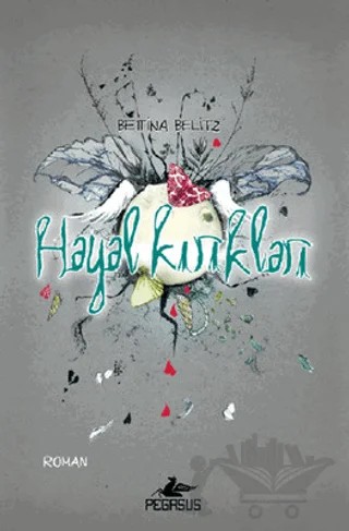 Hayal Kırıkları – Bettina Belitz – Pegasus Yayınları kitap kapağı