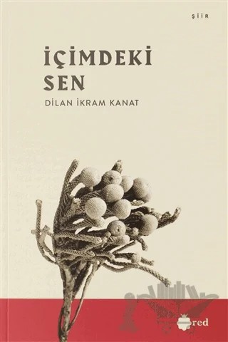 İçimdeki Sen – Dilan İkram Kanat – Red Yayınları kitap kapağı