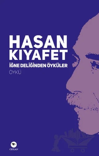 İğne Deliğinden Öyküler – Hasan Kıyafet – Ceylan Yayınları kitap kapağı