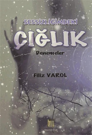 Sessizliğimdeki Çığlık – Filiz Varol – Baygenç Yayıncılık kitap kapağı