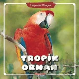 Tropik Orman - Hayvanlar Dünyası – Kolektif – Yumurcak Yayınları kitap kapağı