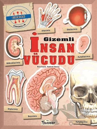 Gizemleri Öğrenelim - Gizemli İnsan Vücudu – Kathryn Senior – Teleskop Popüler Bilim kitap kapağı