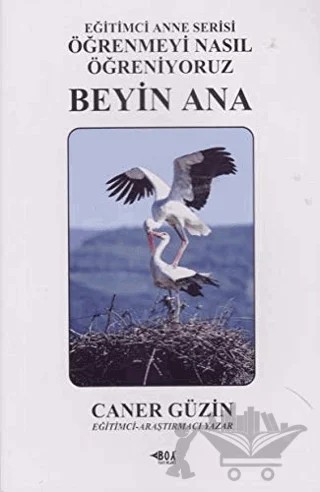 Beyin Ana – Caner Güzin – Boy Yayınları kitap kapağı