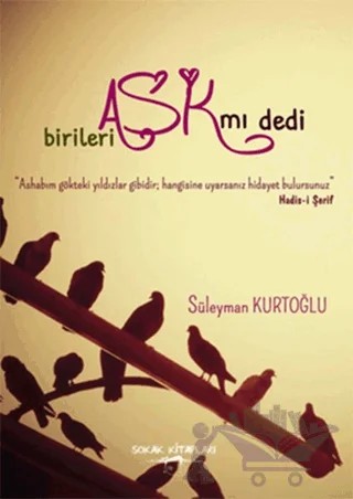 Birileri Aşk mı Dedi – Süleyman Kurtoğlu – Sokak Kitapları Yayınları kitap kapağı