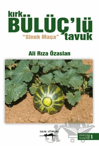 Kırk Bülüç’lü Tavuk – Ali Rıza Özaslan – Sokak Kitapları Yayınları kitap kapağı