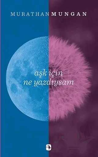 Aşk İçin Ne Yazdıysam – Murathan Mungan – Metis Yayınları kitap kapağı