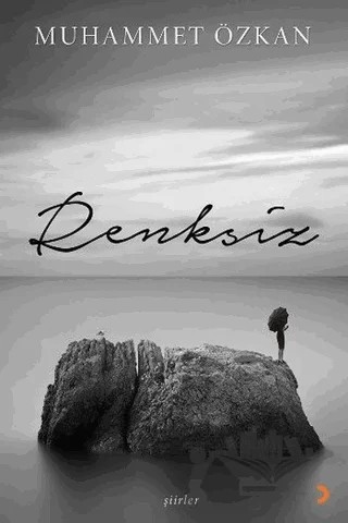 Renksiz – Muhammet Özkan – Cinius Yayınları kitap kapağı