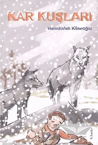 Kar Kuşları – Hamdullah Köseoğlu – Tudem Yayınları kitap kapağı
