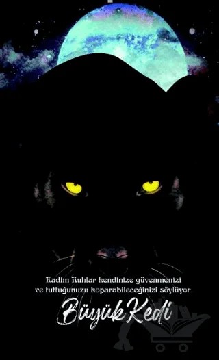 Şaman Defterleri - Büyük Kedi – Evangelia Volanis – Gece Kitaplığı kitap kapağı