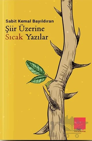 Şiir Üzerine Sıcak Yazılar – Sabit Kemal Bayıldıran – Kaos Çocuk Parkı Yayınları kitap kapağı