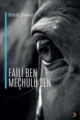 Faili Ben Meçhulü Sen – Fatih Şeker – Cinius Yayınları kitap kapağı