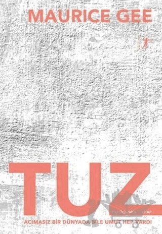 Tuz – Maurice Gee – Artemis Yayınları kitap kapağı